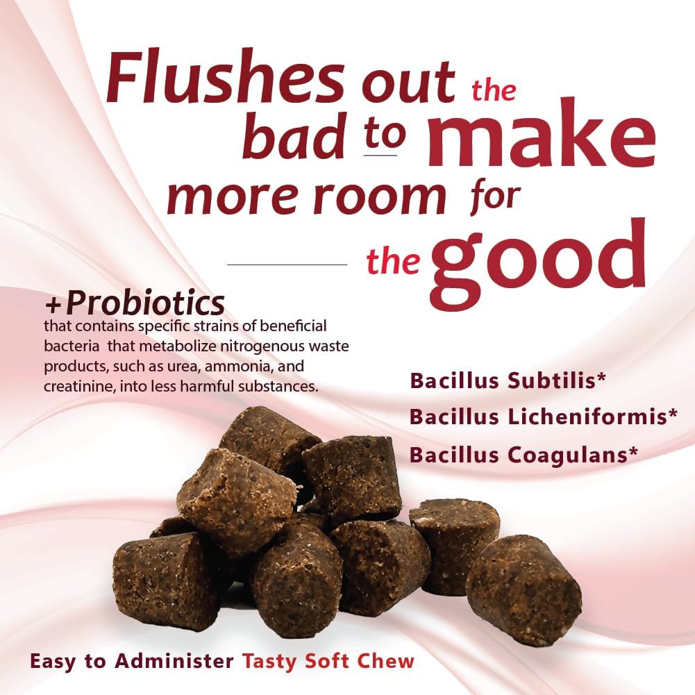 azoflora-supplement-for-healthy-kidneys--3.jpg