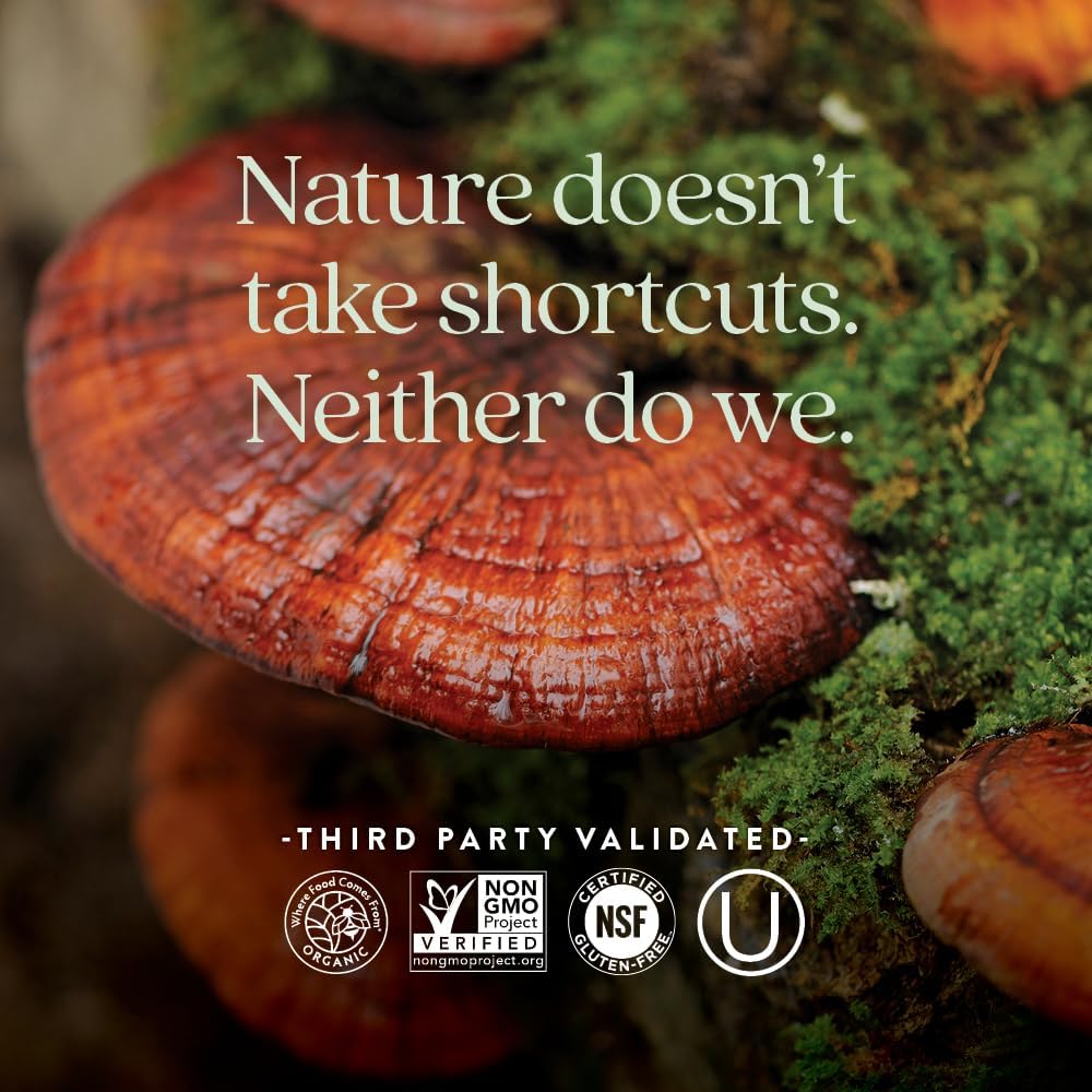 new-chapter-reishi-mushroom---lifeshield-5.jpg
