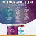afa-stem-cell-supplements-500mg-berry-co-5.jpg