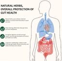 pure-cleanse-tabletgut-colon-detoxreliev-3.jpg
