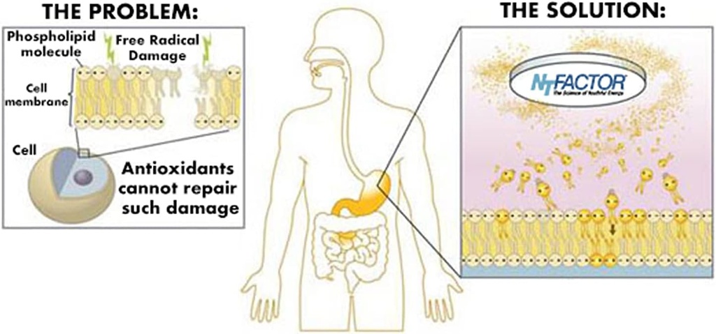 vitamin-and-mineral-propax-gold-with-ntf-5.jpg
