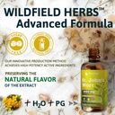 st-johns-wort-herb-tincture-st-johns-wor-6.jpg