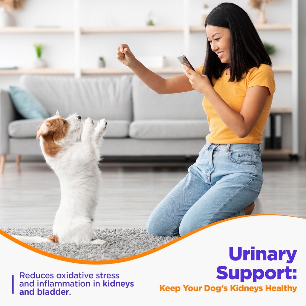 jack-milo---supplement-for-dogs-dog-uti--3.jpg