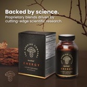 energy---mushroom-supplement---cordyceps-4.jpg