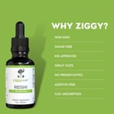 reishi-mushroom-extract---liquid-tinctur-2.jpg