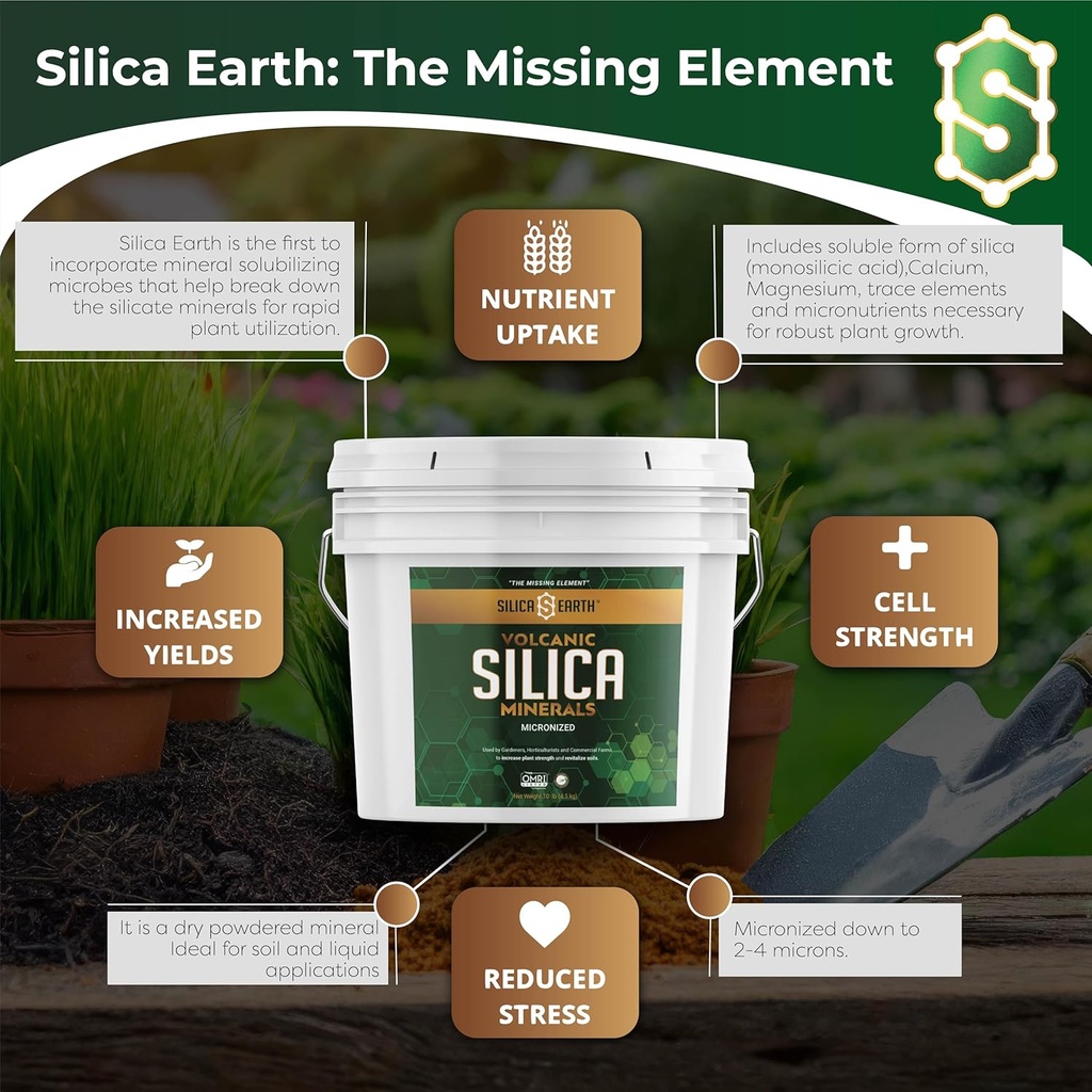 Volcanic Silica Minerals Micronized- 10 lbs 6