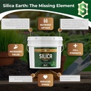 Volcanic Silica Minerals Micronized- 10 lbs 6