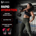 Cerus Performance - Performance Hydration Electrolyte Powder – Watermelon Flavor, 5g Creatine Monohydrate, 500mg Coconut Water Powder – Supports Endurance, Muscle Recovery & Keto 30 Servings 4
