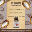 Theobromine Cocoa Extract 99% | High-Purity Theobroma Cacao | 400mg Per Capsule | 60 Vegan Capsules | Stearate-Free, Additive-Free, Glass Bottled 4