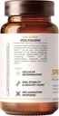 LevelUp Spermidine Capsules, Most Researched Spermidine, 99% Concentration, 100x Potent Than Wheat Germ Extract for Anti-Aging DNA Telomere Support 60 Count 4