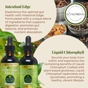 Go Nutrients Intestinal Edge + Liquid Drops Supplement Chlorophyll - Effective Detox, Cleanse & Energy Combo | No GMO’s | No Preservatives 5