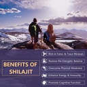 2000 MG Shilajit Supplement, 100% Pure Shilajit with 85+ Trace Minerals & 60% Fulvic Acid, Boost Energy & Immunity, Vegan, Natural, 120 Capsules 3