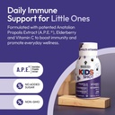 BEE and You Kids Immune Support Supplement, 100% Natural Propolis, Vitamin C, Elderberry, Raw Honey, Antioxidants, Alternative to Gummies, Great Taste, 12 Pack, 1.69 fl. oz Each 3