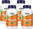 NOW Supplements, Yucca (Yucca spp.) 500 mg, 4:1 Concentrate, Herbal Supplement, 100 Capsules (Pack of 4) 2
