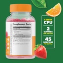 Lifeable Phosphatidylserine (PS) + Probiotic 2 Billion CFU, Gummies Bundle - Great Tasting, Vitamin Supplement, Gluten Free, GMO Free, Chewable Gummy 3