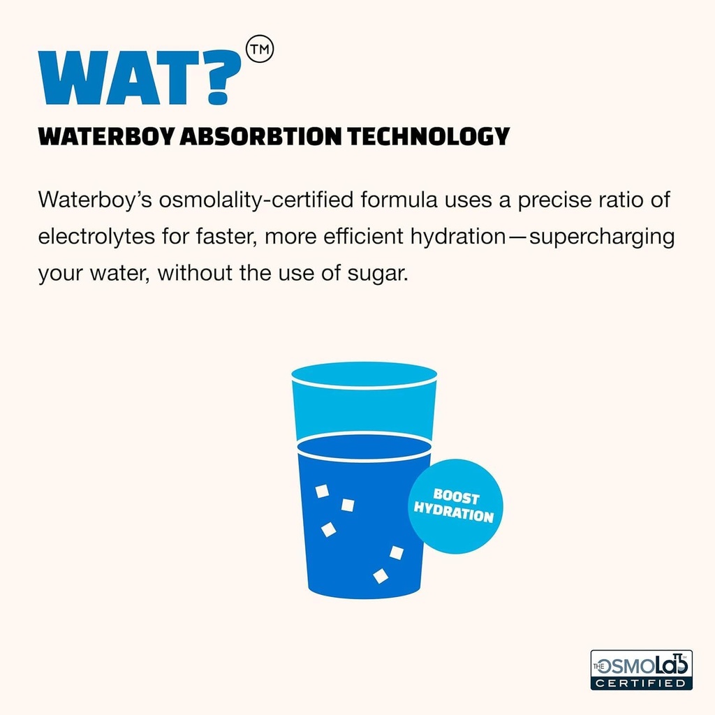 Waterboy Weekend Recovery x FOW | 3,200mg Electrolyte Powder Packets | Ginger + L-Theanine + Vitamins | No Sugar, All Natural, Gluten Free | 24 Drink Stick Mixes (Fruit Punch) 5