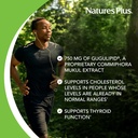 Natures Plus Herbal Actives Gugulipid - 750 mg, 2.5% Guggulsterones - 60 Vegan Capsules - Ayurvedic Botanical Supplement - Maximum Potency - Vegetarian, Gluten-Free - 60 Servings 5