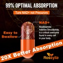 1300 MG Liposomal NAD+ Supplement | Highest Absorption | Purest NAD Supplemet to Boost NAD+ Effetively | Boosting NAD+ Supplement for Aging Defese, Cellular Energy, Longevity | 480 Count 5