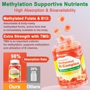 Vitamin B Complex Filled Gummies & Womens Multivitamin Gummies 5