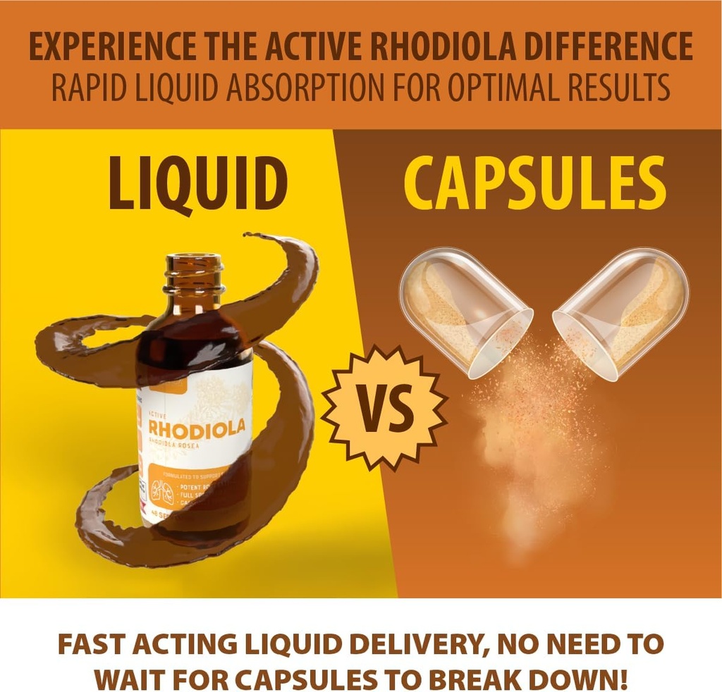 Active Rhodiola - Rhodiola Root Extract with Natural Rosavins - Liquid Delivery for Better Absorption - Supports Energy & Stress 6