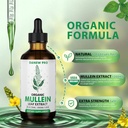 Mullein Drops for Lungs - Mullein Leaf Extract - Support Lung Cleanse & Respiratory Function for Healthy Breathing - Natural Supplement, Tincture Drops | Non-GMO, Vegetarian | 4 oz 120ml 3