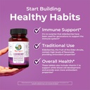 MaryRuth Organics Elderberry Vitamin C Chewable Tablets | Sambucus nigra | Black Elderberry for Immune Support | 3 Month Supply | Gluten Free | Non-GMO | 90 Servings 3