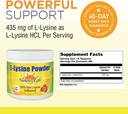 Nature's Life L-Lysine Powder | Helps Support Healthy Immune Function | 100% Pure Natural L-Lysine | Vegetarian, Unflavored, Sugar Free | 460 Servings 3