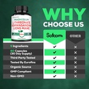 Satoomi 5in1 Magnesium L-Threonate with Mangesium Glycinate, Ashwagandha, Chelate & Lions Mane - 60 Capsules 5