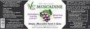 VineLife Muscadine Grape Seed & Skin 650mg - 60 Veggie Capsules - Antioxidant Superfood - 1300mg Per Serving - Natural Resveratrol 5