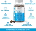Amire by Dr. Awan Super Greens Gummies, Fruits & Veggies Supplement, Green Superfood for Immunity, Metabolism, Liver Function & Nervous System, Essential 8 Greens, 120ct, 60day Supply 4