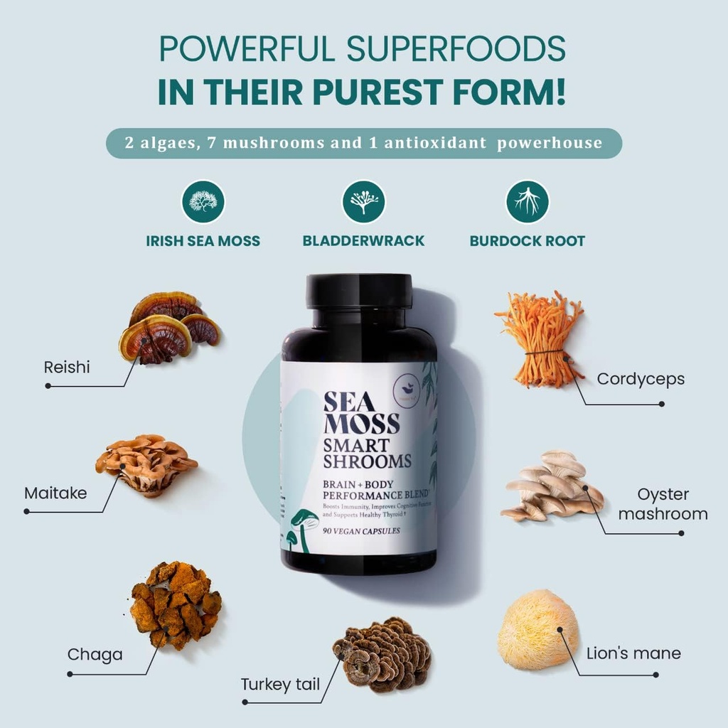 HAPPY FOX Brain & Body Convenience Capsules Bundle - Organic Sea Moss Gel & Smart Shrooms Capsules - Irish Sea Moss & Mushroom Complex, Nootropic Brain Supplements for Memory & Focus 3
