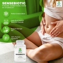 Sensebiotic Gut Health Probiotics Dietary Supplements Prebiotic Supplements 20 Billion CFUs Probiotics for Women Gut Health Men’s Prebiotic for Digestive Health 60 Probiotic Capsules 6