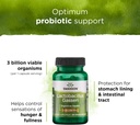 Swanson Lactobacillus Gasseri - Probiotic Supplement Supporting Digestive Health with 3 Billion CFU - Design-Release Satiety & Fat Metabolism Support - (60 Veggie Capsules) 4 Bottles 5