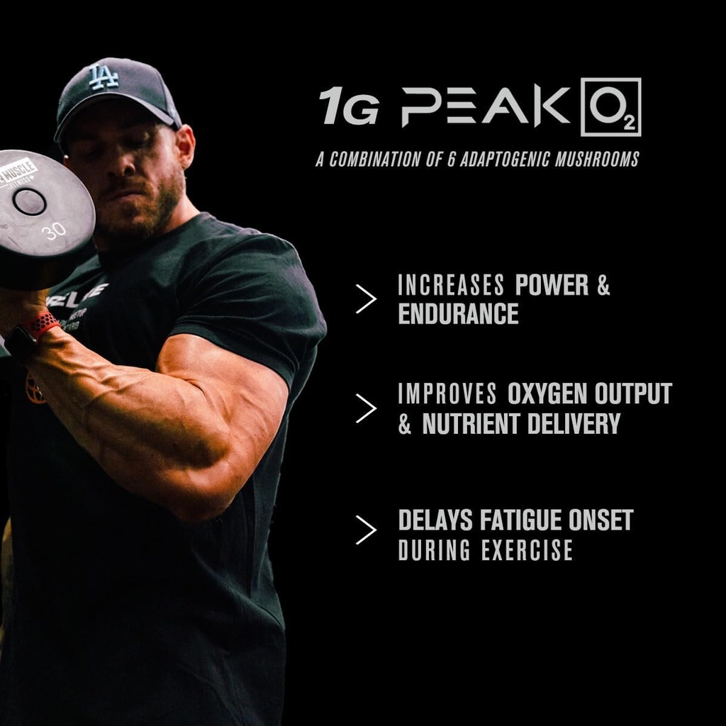 Jacked Factory PRIMASURGE Testosterone Booster for Men (60 Capsules) & Build-XT Daily Muscle Builder & Performance Enhancer | Muscle Building Supplements for Muscular Strength & Growth 6