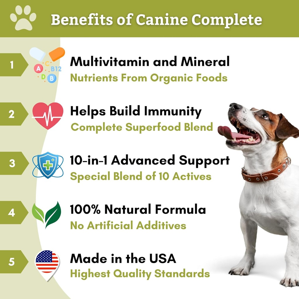 Wholistic Pet Organics: Multivitamin Chews for Dogs Organic Homemade Dog Treat for Medium and Small Dogs Calming Chews for Dogs Food Puppy Multivitamin Probiotics Immune Support Supplement 3
