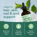 360 Nutrition Liquid Collagen + Aloe Drops | Natural Detox, Radiant Skin, Cleansing and Digestion Support | 60 Servings Per Container (Collagen + Aloe) 4
