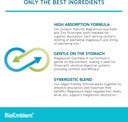 BioEmblem Magnesium Glycinate with Zinc and Turmeric Curcumin 5