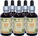 Kava Kava (Piper Methysticum) Glycerite, Dried Root Alcohol-Free Liquid Extract (Brand Name: HerbalTerra, Proudly Made in USA) 32 fl.oz (0.95 l) 3