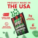 BEAST BITES - Creatine Infused Gummies - 5g Creapure Creatine Monohydrate Per Serving - NSF Certified for Sport - 30 Servings 3