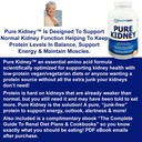 Kidney Shield Fish Oil Renal Supplement & Pure Kidney Essential Aminos 6