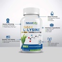 Natural Cure Labs Bundle: Monolaurin 600mg 2 Pack + Clean L-Lysine 6