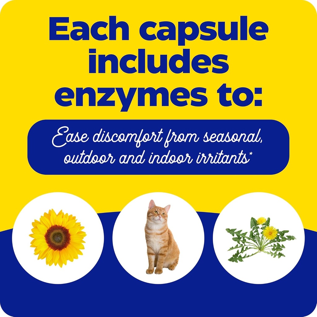 Enzymedica, Allerase, Non-Drowsy Enzyme Supplement to Help Relieve Seasonal Mucus Buildup, 60 Count 6