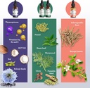 GuruNanda Total Wellness Boost with Liquid Ashwagandha, Black Seed Oil & GutCleanse - Helps with Immunity and Mind Care 5