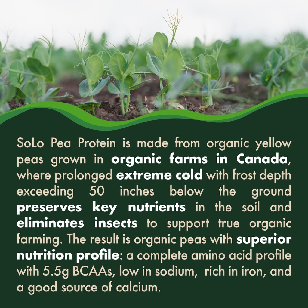 Solo Organic Pea Protein Powder, Low in Sodium, Canada Grown Peas, 100% Vegan, Non-GMO, Unflavored Plant Based Protein Powder with BCAA (2.7 lbs) 5