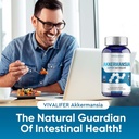 300 Billion AFU Akkermansia Probiotic Supplement - 120 Capsules 2 Month Supply Supports Digestive, Immune & Overall Health - Increases GLP-1 Production - for Men & Women 3