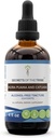 Secrets of the Tribe Muira Puama and Catuaba Tincture Alcohol-Free Extract, High-Potency Herbal Drops, Tincture Made from Muira Puama and Catuaba Ptychopetalum Olacoides 4 oz 2
