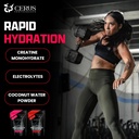 Cerus Performance - Performance Hydration Electrolyte Powder – Raspberry Flavor, 5g Creatine Monohydrate, 500mg Coconut Water Powder – Supports Endurance, Muscle Recovery & Keto 30 Servings 3