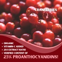Cranberry Extract Pills Supplement 25% Proanthocyanidins with Vitamin C - Urinary Tract, Skin, Immune Support - 180 Veggie Capsules - Non-GMO, Gluten-Free, Vegan Friendly 4