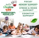 Lifeable Phosphatidylserine (ps100) Kids | 100mg Kids Focus Gummies | Great Tasting Phosphatidylserine Supplement | Focus Supplement for Kids | 90 Gummies 4