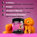10 in 1 Multivitamin + Allergy Support Soft Chew Supplement Bundle - Skin & Seasonal Pollen Allergies - Itch Relief for Dogs - Joint, Digestive, Heart, Skin, Coat & Immune Support Vitamin 5
